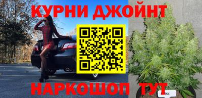 сатива Кулебаки