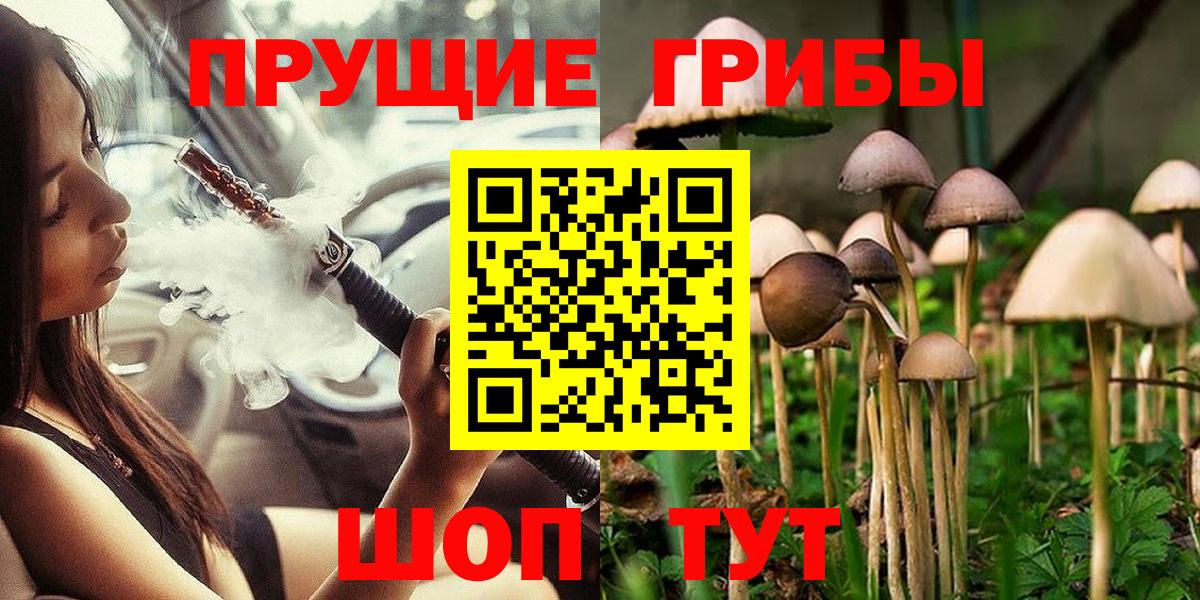 Камень-на-Оби  Псилоцибиновые грибы Cubensis  Вход с VPN 