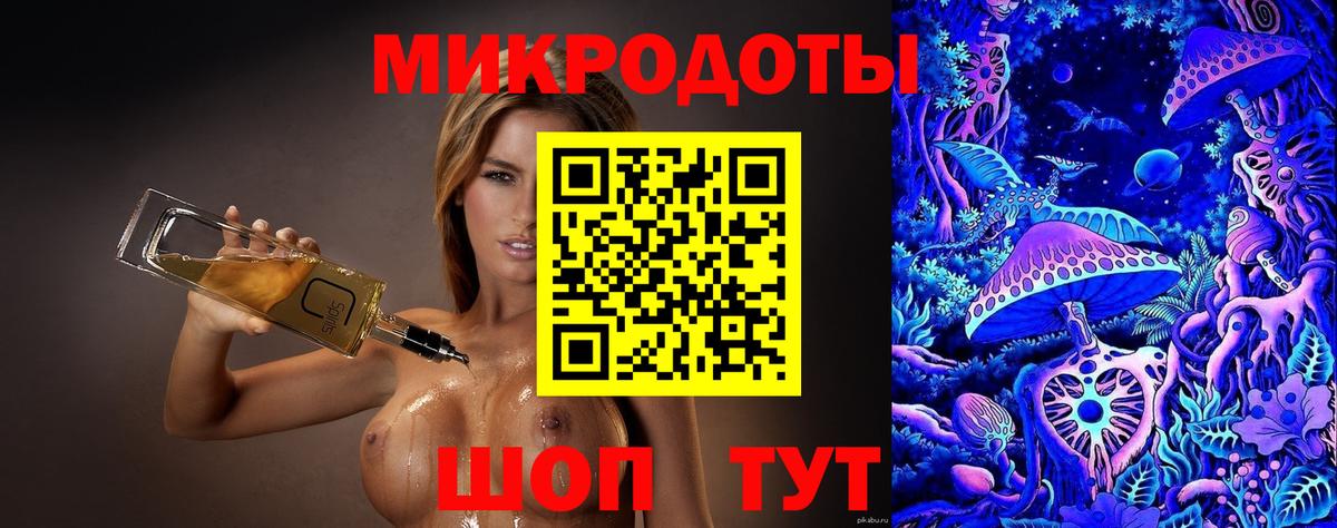Псилоцибиновые грибы прущие грибы Камень-на-Оби